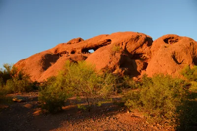 DSC_1440 (Large).JPG